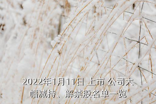 2022年1月11日 上市 公司大幅減持、解禁股名單一覽