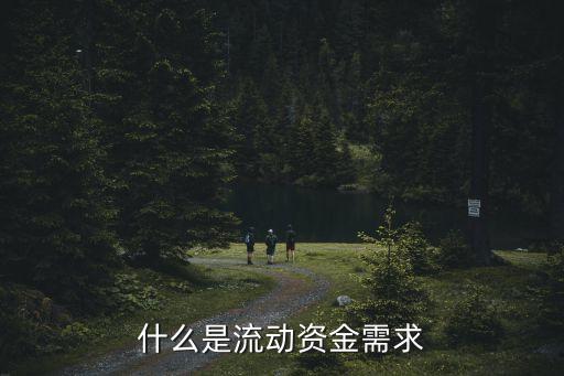 指在公司經(jīng)營周期內并未被更新的資產(chǎn)