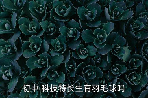 創(chuàng)祀網(wǎng)絡科技有限公司,創(chuàng)穎峻網(wǎng)絡科技(深圳)有限公司