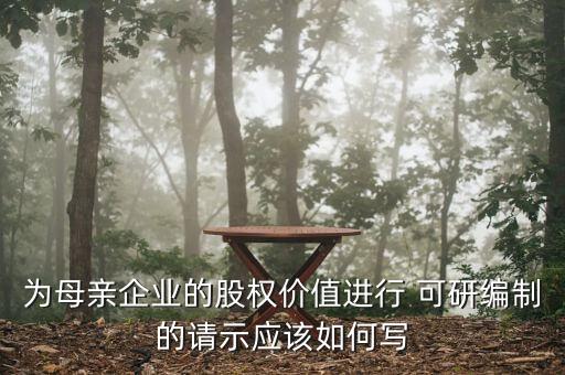 為母親企業(yè)的股權(quán)價值進行 可研編制的請示應(yīng)該如何寫