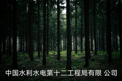 長春金城工程建設(shè)有限責任公司,平湖金城建設(shè)有限責任公司