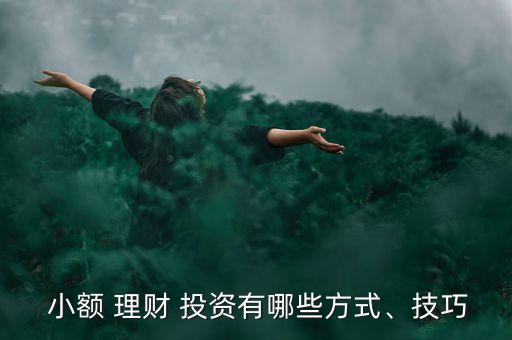  小額 理財(cái) 投資有哪些方式、技巧