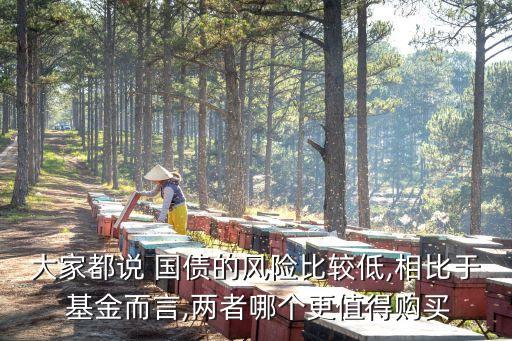 大家都說(shuō) 國(guó)債的風(fēng)險(xiǎn)比較低,相比于 基金而言,兩者哪個(gè)更值得購(gòu)買(mǎi)