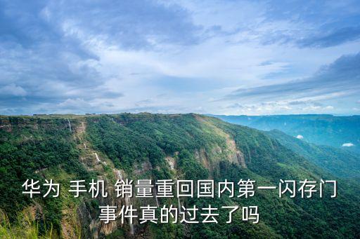 2015中國市場(chǎng)手機(jī)銷量排行榜,中國市場(chǎng)一年手機(jī)銷量