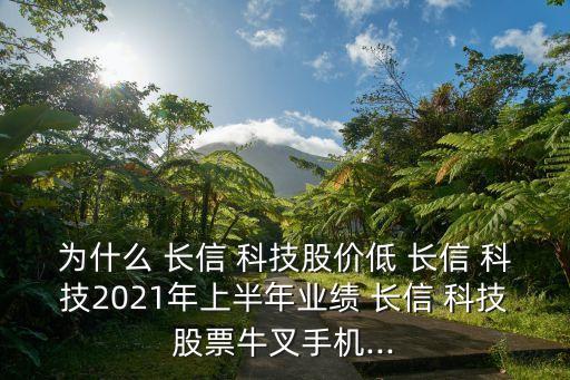 為什么 長信 科技股價(jià)低 長信 科技2021年上半年業(yè)績 長信 科技股票牛叉手機(jī)...