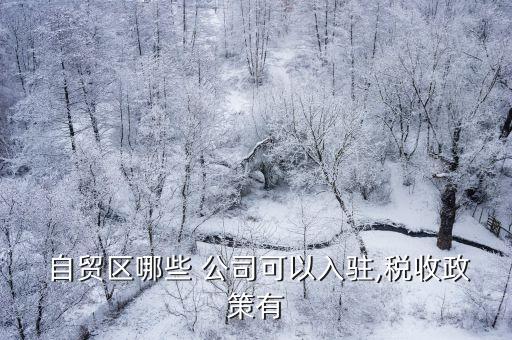 自貿區(qū)投資性公司,海南自貿區(qū)國家投資多少