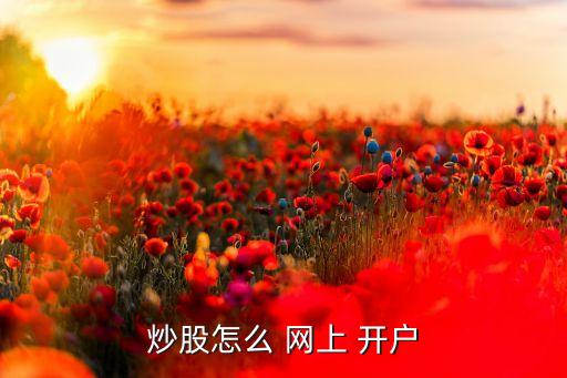 炒股怎么 網(wǎng)上 開(kāi)戶