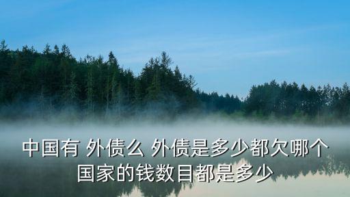 中國(guó)有 外債么 外債是多少都欠哪個(gè)國(guó)家的錢數(shù)目都是多少
