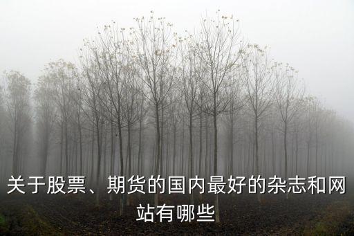關(guān)于股票、期貨的國(guó)內(nèi)最好的雜志和網(wǎng)站有哪些