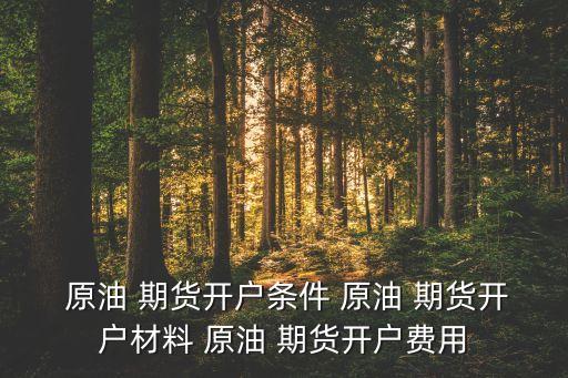  原油 期貨開(kāi)戶(hù)條件 原油 期貨開(kāi)戶(hù)材料 原油 期貨開(kāi)戶(hù)費(fèi)用