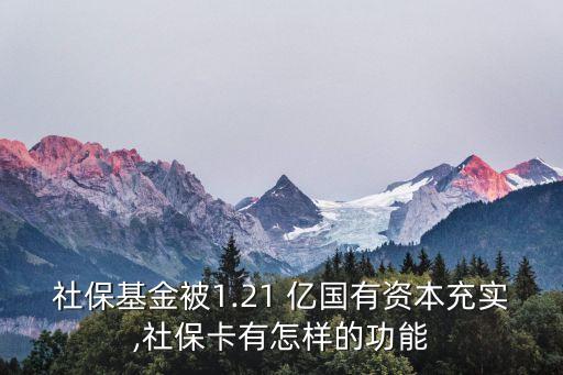 社?；鸨?.21 億國(guó)有資本充實(shí),社保卡有怎樣的功能
