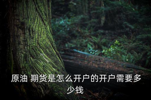  原油 期貨是怎么開(kāi)戶(hù)的開(kāi)戶(hù)需要多少錢(qián)