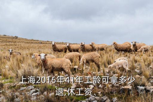  上海2016年41年工齡可拿多少退,休工資、