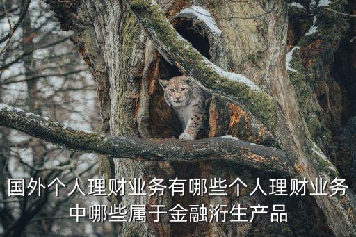 國外個人理財業(yè)務有哪些個人理財業(yè)務中哪些屬于金融洐生產品