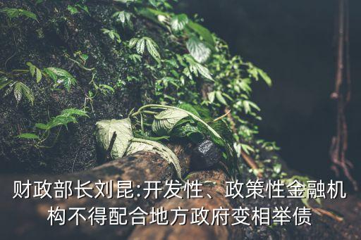 財(cái)政部長(zhǎng)劉昆:開(kāi)發(fā)性、政策性金融機(jī)構(gòu)不得配合地方政府變相舉債