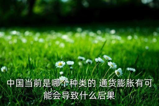 中國(guó)當(dāng)前是哪個(gè)種類(lèi)的 通貨膨脹有可能會(huì)導(dǎo)致什么后果