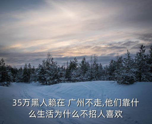35萬(wàn)黑人賴(lài)在 廣州不走,他們靠什么生活為什么不招人喜歡