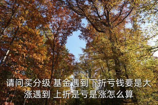 請(qǐng)問(wèn)買(mǎi)分級(jí) 基金遇到下折虧錢(qián)要是大漲遇到 上折是虧是漲怎么算