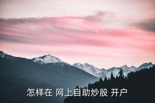 怎樣在 網(wǎng)上自助炒股 開(kāi)戶