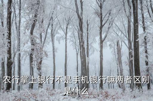 農行掌上銀行不是手機銀行嘛兩者區(qū)別是什么