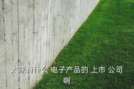 太原有什么 電子產品的 上市 公司啊