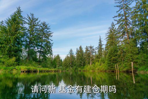請(qǐng)問新 基金有建倉(cāng)期嗎