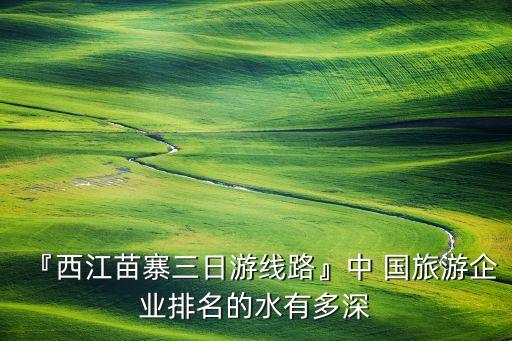 『西江苗寨三日游線路』中 國(guó)旅游企業(yè)排名的水有多深