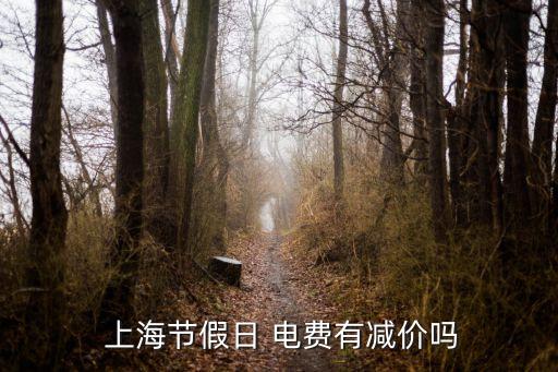 上海電費(fèi)半價時間,上海10點(diǎn)以后電費(fèi)半價嗎