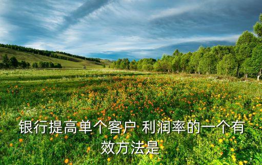  銀行提高單個(gè)客戶(hù) 利潤(rùn)率的一個(gè)有效方法是