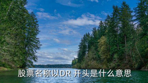  股票名稱(chēng)以DR 開(kāi)頭是什么意思