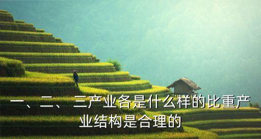 一、二、 三產(chǎn)業(yè)各是什么樣的比重產(chǎn)業(yè)結(jié)構(gòu)是合理的