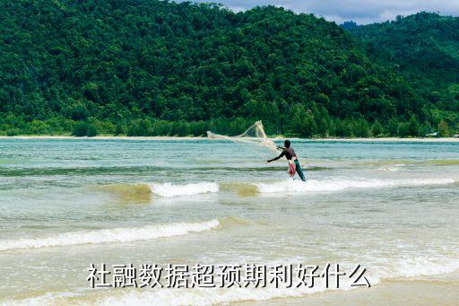 社融數(shù)據(jù)超預期利好什么