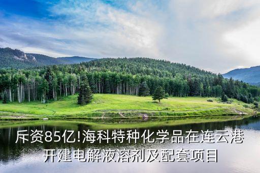 斥資85億!?？铺胤N化學品在連云港開建電解液溶劑及配套項目
