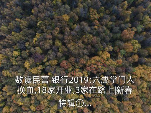 數讀民營 銀行2019:六成掌門人換血,18家開業(yè),3家在路上|新春特輯①...