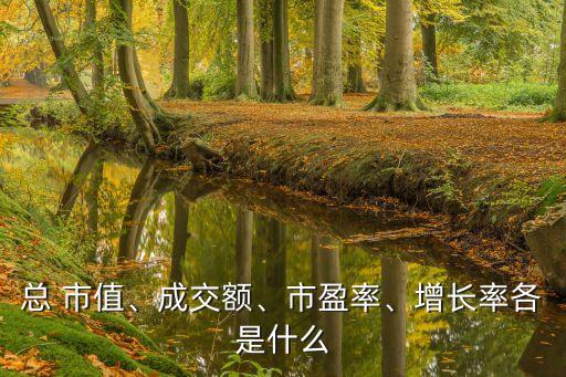 總 市值、成交額、市盈率、增長率各是什么