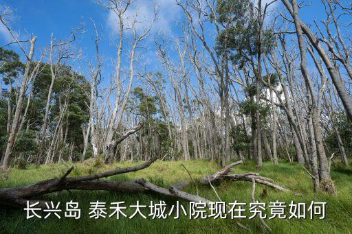 長興島 泰禾大城小院現在究竟如何