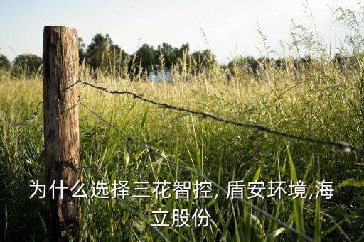盾安機電科技有限公司和盾安環(huán)境的關系