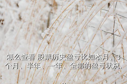怎么查看 股票歷史盈虧比如本月、3個(gè)月、半年、一年、全部的盈虧狀況...