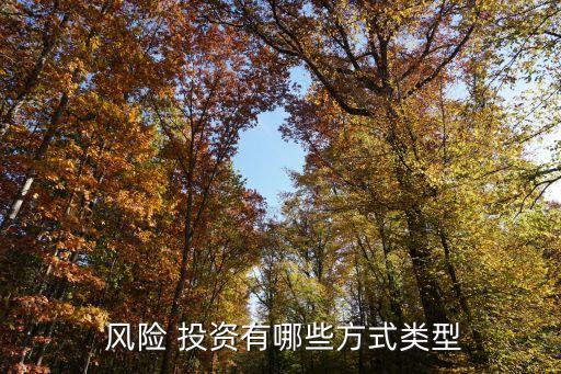  風(fēng)險 投資有哪些方式類型