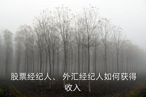  股票經(jīng)紀(jì)人、 外匯經(jīng)紀(jì)人如何獲得收入