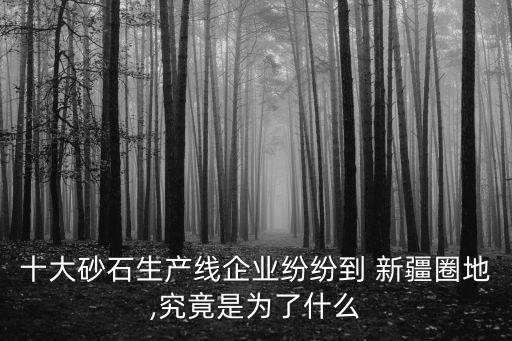 十大砂石生產線企業(yè)紛紛到 新疆圈地,究竟是為了什么