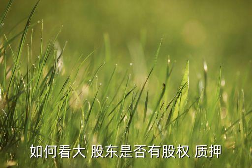 如何看大 股東是否有股權 質押