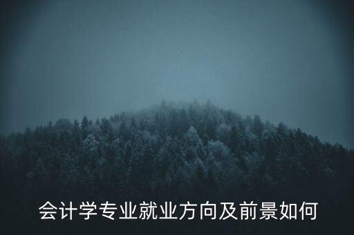  會計(jì)學(xué)專業(yè)就業(yè)方向及前景如何