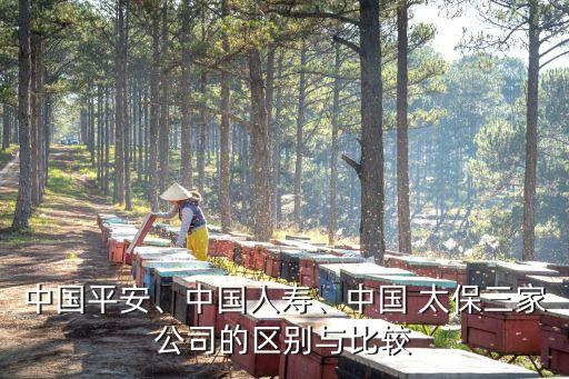 中國平安、中國人壽、中國 太保三家公司的區(qū)別與比較