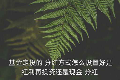  基金定投的 分紅方式怎么設(shè)置好是紅利再投資還是現(xiàn)金 分紅