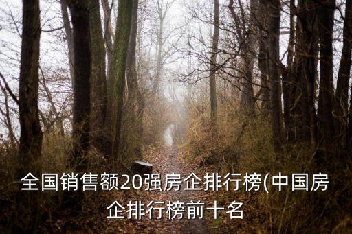 全國(guó)銷(xiāo)售額20強(qiáng)房企排行榜(中國(guó)房企排行榜前十名