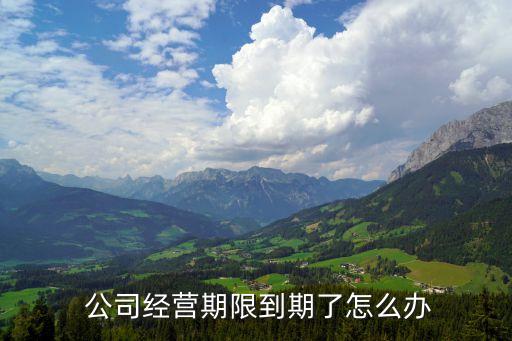 公司延期股東會(huì)決議,營(yíng)業(yè)執(zhí)照延期股東會(huì)決議怎么寫(xiě)