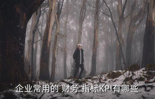 卡夫公司財務指標