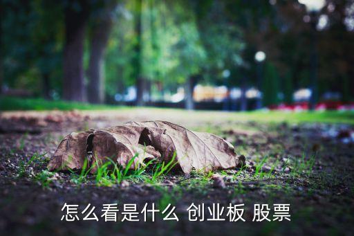 第一批創(chuàng)業(yè)板股票,創(chuàng)業(yè)板股票如何開(kāi)通
