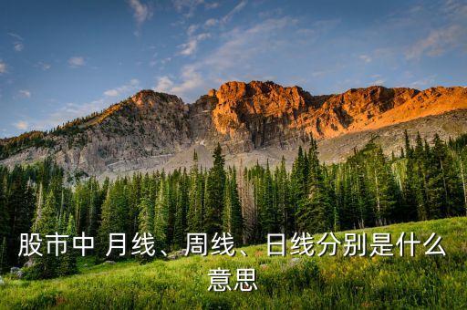 月線(xiàn)投資,上海19號(hào)線(xiàn)投資